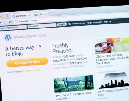 How to Choose the Right WordPress Theme for Your Small Biz